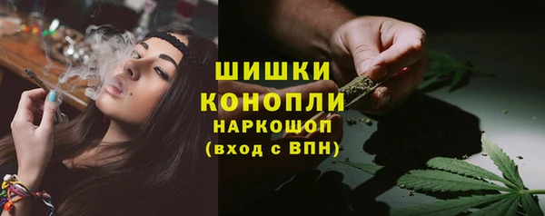 стаф Майский