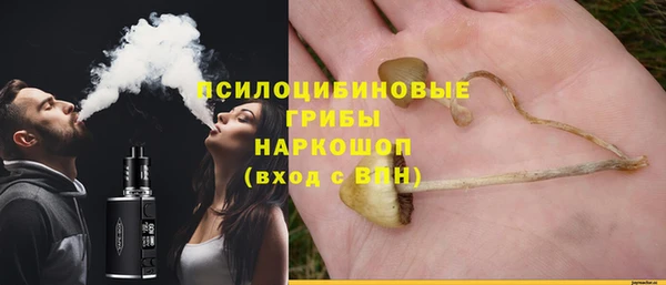 ГАЛЛЮЦИНОГЕННЫЕ ГРИБЫ Горно-Алтайск