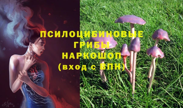 ECSTASY Лиски