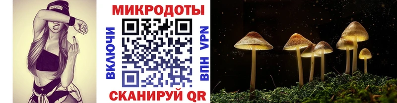 Галлюциногенные грибы MAGIC MUSHROOMS  Долинск 